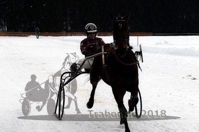 20140118_r04_033_R04_0048.jpg