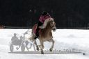 Dateiname=20140118_r05_073_R05_0080.jpg
Dateigröße=126KB
Abmessungen: 750x500
hinzugefügt am: 15. Januar 2018 20140118_r05_073_R05_0080.jpg
