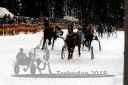 Dateiname=20140118_r06_083_R06_0174.jpg
Dateigröße=200KB
Abmessungen: 750x500
hinzugefügt am: 15. Januar 2018 20140118_r06_083_R06_0174.jpg