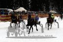 Dateiname=20140118_r06_095_R06_0189.jpg
Dateigröße=220KB
Abmessungen: 750x500
hinzugefügt am: 15. Januar 2018 20140118_r06_095_R06_0189.jpg