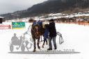 Dateiname=20140118_r06_096_R06_0037.jpg
Dateigröße=175KB
Abmessungen: 750x500
hinzugefügt am: 15. Januar 2018 20140118_r06_096_R06_0037.jpg