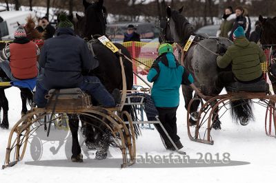 20180114_r07_034_R07_0040.jpg