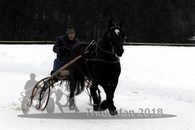 20180114_r07_047_R07_0066.jpg