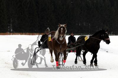 20180114_r07_055_R07_0081.jpg