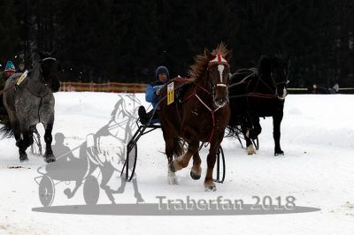 20180114_r07_060_R07_0091.jpg
