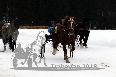 20180114_r07_061_R07_0093.jpg