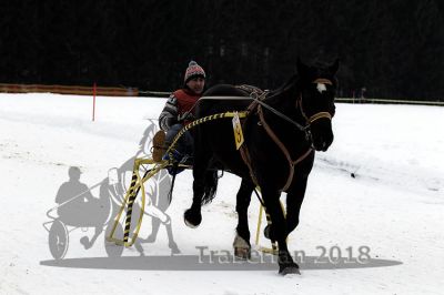 20180114_r07_079_R07_0125.jpg