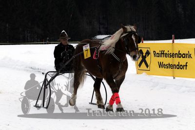 20180114_r07_083_R07_0134.jpg