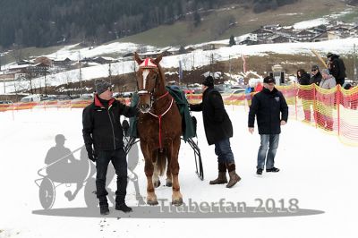 20180114_r07_088_R07_0042.jpg