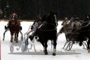 Dateiname=20180114_r07_028_R07_0027.jpg
Dateigröße=176KB
Abmessungen: 750x500
hinzugefügt am: 15. Januar 2018 20180114_r07_028_R07_0027.jpg