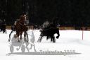 Dateiname=20180114_r07_036_R07_0043.jpg
Dateigröße=137KB
Abmessungen: 750x500
hinzugefügt am: 15. Januar 2018 20180114_r07_036_R07_0043.jpg
