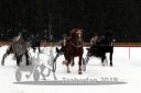 Dateiname=20180114_r07_058_R07_0087.jpg
Dateigröße=152KB
Abmessungen: 750x500
hinzugefügt am: 15. Januar 2018 20180114_r07_058_R07_0087.jpg