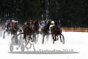 Dateiname=20180114_r08_047_R08_0074.jpg
Dateigröße=166KB
Abmessungen: 750x500
hinzugefügt am: 15. Januar 2018 20180114_r08_047_R08_0074.jpg