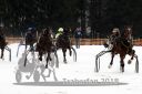 Dateiname=20180114_r08_079_R08_0144.jpg
Dateigröße=163KB
Abmessungen: 750x500
hinzugefügt am: 15. Januar 2018 20180114_r08_079_R08_0144.jpg