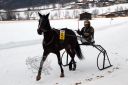 Dateiname=103CANON_IMG_0026.jpg
Dateigröße=92KB
Abmessungen: 750x500
hinzugefügt am: 15. Januar 2018 103CANON_IMG_0026.jpg
