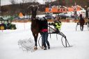 Dateiname=103CANON_IMG_0029.jpg
Dateigröße=101KB
Abmessungen: 750x500
hinzugefügt am: 15. Januar 2018 103CANON_IMG_0029.jpg