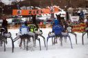 Dateiname=103CANON_IMG_0057.jpg
Dateigröße=119KB
Abmessungen: 750x500
hinzugefügt am: 15. Januar 2018 103CANON_IMG_0057.jpg