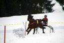 Dateiname=103CANON_IMG_0062.jpg
Dateigröße=69KB
Abmessungen: 750x500
hinzugefügt am: 15. Januar 2018 103CANON_IMG_0062.jpg