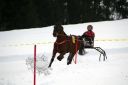 Dateiname=103CANON_IMG_0063.jpg
Dateigröße=65KB
Abmessungen: 750x500
hinzugefügt am: 15. Januar 2018 103CANON_IMG_0063.jpg