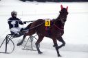 Dateiname=103CANON_IMG_0074.jpg
Dateigröße=79KB
Abmessungen: 750x500
hinzugefügt am: 15. Januar 2018 103CANON_IMG_0074.jpg