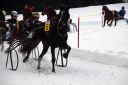 Dateiname=103CANON_IMG_0085.jpg
Dateigröße=86KB
Abmessungen: 750x500
hinzugefügt am: 15. Januar 2018 103CANON_IMG_0085.jpg