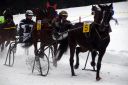 Dateiname=103CANON_IMG_0086.jpg
Dateigröße=88KB
Abmessungen: 750x500
hinzugefügt am: 15. Januar 2018 103CANON_IMG_0086.jpg