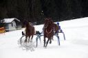 Dateiname=103CANON_IMG_0087.jpg
Dateigröße=79KB
Abmessungen: 750x500
hinzugefügt am: 15. Januar 2018 103CANON_IMG_0087.jpg