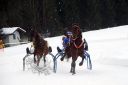 Dateiname=103CANON_IMG_0088.jpg
Dateigröße=79KB
Abmessungen: 750x500
hinzugefügt am: 15. Januar 2018 103CANON_IMG_0088.jpg