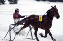 Dateiname=103CANON_IMG_0096.jpg
Dateigröße=77KB
Abmessungen: 750x500
hinzugefügt am: 15. Januar 2018 103CANON_IMG_0096.jpg