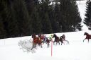 Dateiname=103CANON_IMG_0107.jpg
Dateigröße=90KB
Abmessungen: 750x500
hinzugefügt am: 15. Januar 2018 103CANON_IMG_0107.jpg