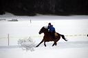 Dateiname=104CANON_IMG_0144.jpg
Dateigröße=56KB
Abmessungen: 750x500
hinzugefügt am: 15. Januar 2018 104CANON_IMG_0144.jpg