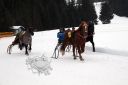 Dateiname=105CANON_IMG_0059.jpg
Dateigröße=78KB
Abmessungen: 750x500
hinzugefügt am: 15. Januar 2018 105CANON_IMG_0059.jpg