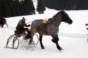 Dateiname=105CANON_IMG_0062.jpg
Dateigröße=84KB
Abmessungen: 750x500
hinzugefügt am: 15. Januar 2018 105CANON_IMG_0062.jpg