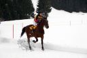 Dateiname=106CANON_IMG_0123.jpg
Dateigröße=68KB
Abmessungen: 750x500
hinzugefügt am: 15. Januar 2018 106CANON_IMG_0123.jpg