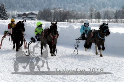 20180204_r03_040_R03_0075.jpg