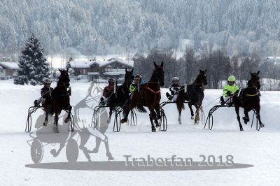 20180204_r06_035_R06_0078.jpg
