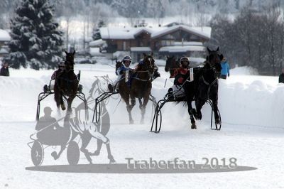 20180204_r06_073_R06_0157.jpg