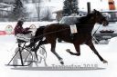 Dateiname=20180204_r06_085_R06_0184.jpg
Dateigröße=234KB
Abmessungen: 750x500
hinzugefügt am: 05. Februar 2018 20180204_r06_085_R06_0184.jpg