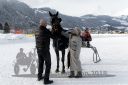 Dateiname=20180204_r06_089_R06_0200.jpg
Dateigröße=246KB
Abmessungen: 750x500
hinzugefügt am: 05. Februar 2018 20180204_r06_089_R06_0200.jpg