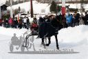 Dateiname=20180204_r06_096_R06_0213.jpg
Dateigröße=294KB
Abmessungen: 750x500
hinzugefügt am: 05. Februar 2018 20180204_r06_096_R06_0213.jpg