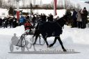 Dateiname=20180204_r06_098_R06_0217.jpg
Dateigröße=274KB
Abmessungen: 750x500
hinzugefügt am: 05. Februar 2018 20180204_r06_098_R06_0217.jpg