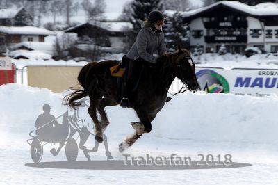 20180204_r08_069_R08_0092.jpg