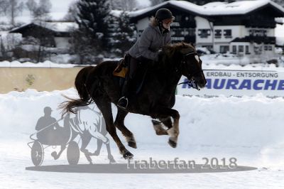 20180204_r08_070_R08_0093.jpg