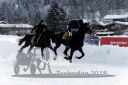 Dateiname=20180204_r08_050_R08_0071.jpg
Dateigröße=251KB
Abmessungen: 750x500
hinzugefügt am: 05. Februar 2018 20180204_r08_050_R08_0071.jpg