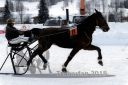 Dateiname=20180204_r09_022_R09_0051.jpg
Dateigröße=234KB
Abmessungen: 750x500
hinzugefügt am: 05. Februar 2018 20180204_r09_022_R09_0051.jpg