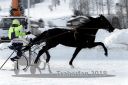Dateiname=20180204_wotan_026_R05_0077.jpg
Dateigröße=231KB
Abmessungen: 750x500
hinzugefügt am: 05. Februar 2018 20180204_wotan_026_R05_0077.jpg