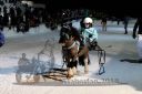 Dateiname=20180209_r03_033_R03_0034.jpg
Dateigröße=243KB
Abmessungen: 750x500
hinzugefügt am: 10. Februar 2018 20180209_r03_033_R03_0034.jpg