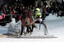 Dateiname=20180209_r03_039_R03_0040.jpg
Dateigröße=246KB
Abmessungen: 750x500
hinzugefügt am: 10. Februar 2018 20180209_r03_039_R03_0040.jpg