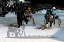 Dateiname=20180209_r03_067_R03_0068.jpg
Dateigröße=261KB
Abmessungen: 750x500
hinzugefügt am: 10. Februar 2018 20180209_r03_067_R03_0068.jpg
