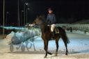 Dateiname=20180209_r05_081_R05_0006.jpg
Dateigröße=294KB
Abmessungen: 750x500
hinzugefügt am: 10. Februar 2018 20180209_r05_081_R05_0006.jpg
